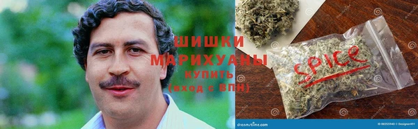 гидра Аркадак