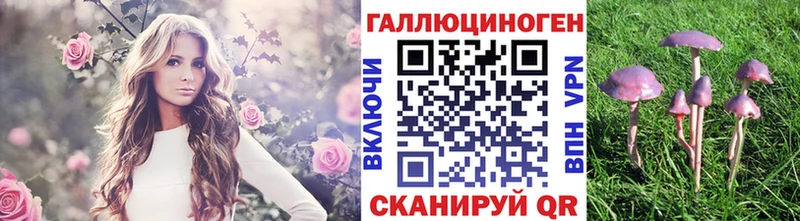 Псилоцибиновые грибы ЛСД Темников